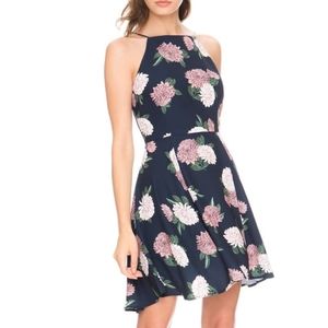 Keepsake Up For Air Fit and Flare dreas